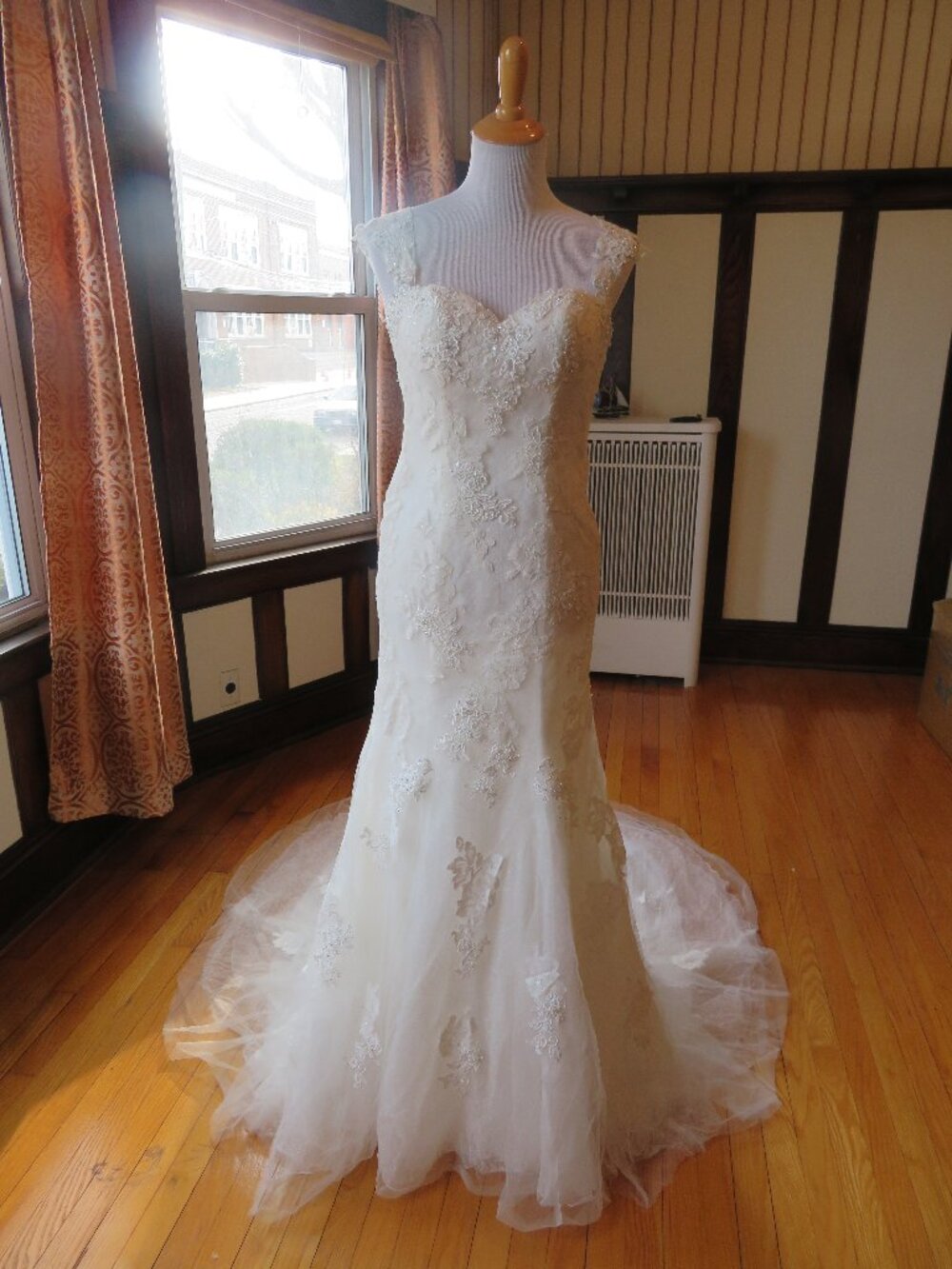La Sposa by Pronovias Wedding Dress